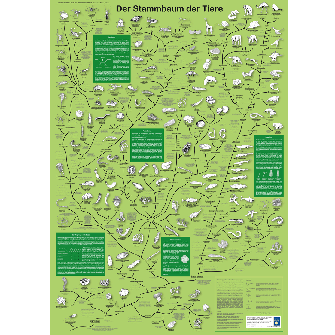 Bio-Poster \"Der Stammbaum der Tiere\"